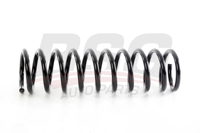 BSG 15-305-019 Helezon Yayı Arka 33531132248