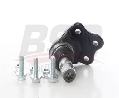 BSG 15-310-274 Rotıl Alt LR096362