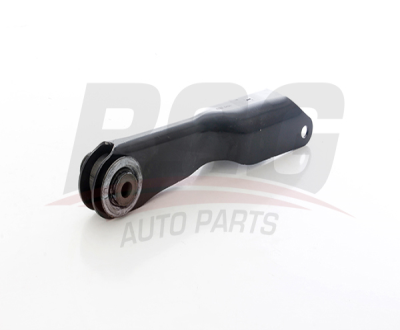 BSG 15-315-224 Arka Denge Kolu LR037702