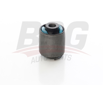 BSG 15-700-072 Salıncak Burcu Arka LR001182