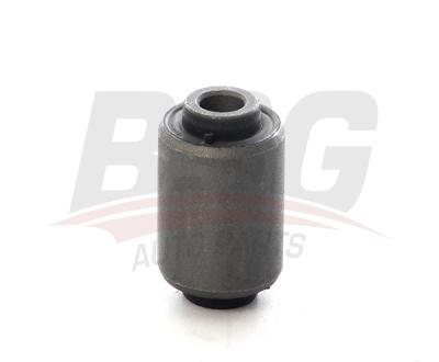 BSG 15-700-078 Salıncak Burcu Arka RGX101020