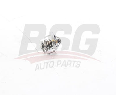 BSG 16-125-008 Termostat 4801924 96868335