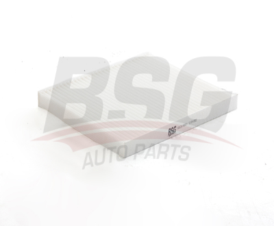 BSG 25-145-011 Polen Filitresi 77366065