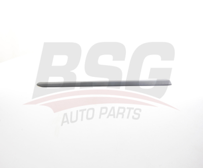 BSG 25-924-006 Kapı Bandı Ön Sağ 735534337