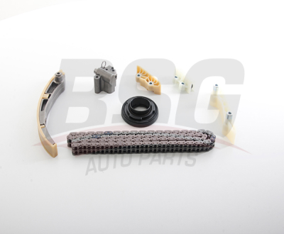 BSG 30-102-004 Eksantrik Zıncır Seti KTYC1Q6M000A1A