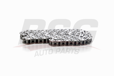 BSG 30-105-010 Eksantrik Zıncırı BK2Q6268AA