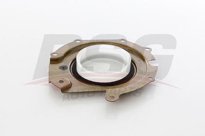BSG 30-116-125 Mazot Pompa Keçesı XS4Q9G605AJ