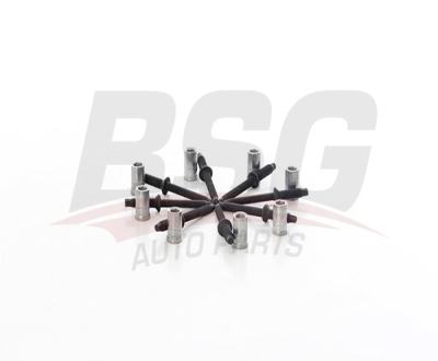 BSG 30-116-181 Enjektör Saplaması 3M5Q9D927B