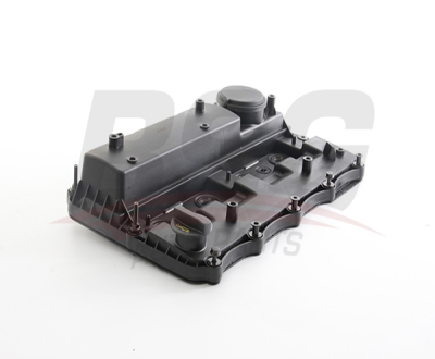 BSG 30-122-038 Eksantrik Kapağı BK2Q6K271AK