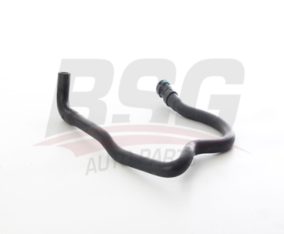 BSG 30-720-309 Kalorıfer Hortumu 6C1118K582CE