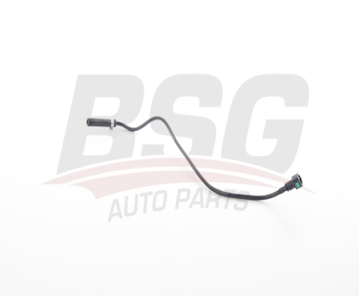 BSG 30-720-340 Radyatör Yedek Su Depo Hortumu CC118K012BB 1735922