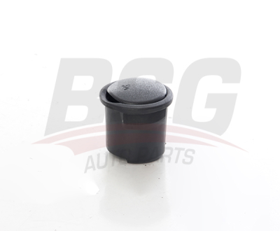 BSG 30-976-009 Konsol Arka Küllük 6T165404788ACZHGT