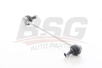 BSG 35-310-006 Vıraj Askı Rotu Ön 51320STKA01