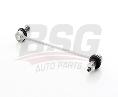 BSG 40-310-204 Vıraj Askı Rotu Ön 54830F2000