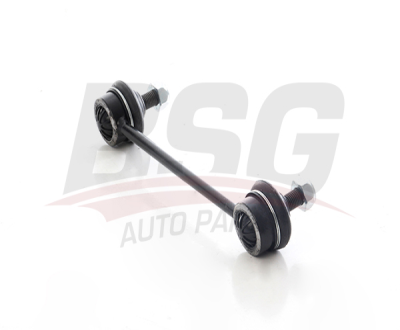 BSG 40-310-245 Vıraj Askı Rotu Arka 555302G000