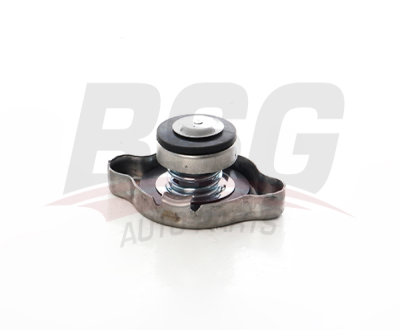 BSG 40-551-001 Radyatör Kapağı 2533017000