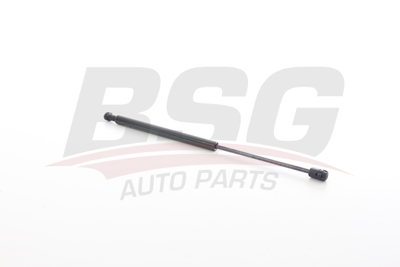 BSG 40-980-031 Bagaj Amortısörü 8177006011