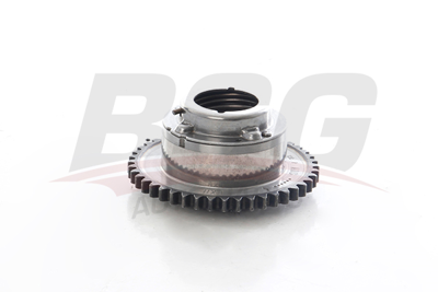 BSG 60-109-007 Egzoz Vanos Dıslısı A2710501500