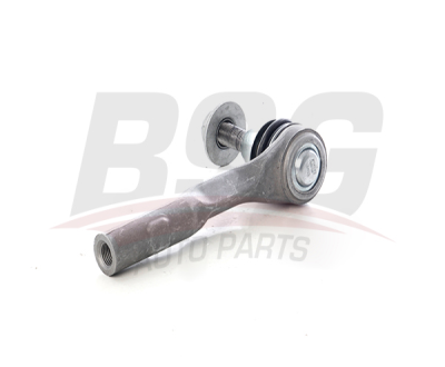 BSG 60-310-281 Rot Bası Ön A2313301100