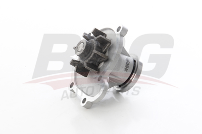 BSG 63-500-001 Devirdaim 21010-99B00