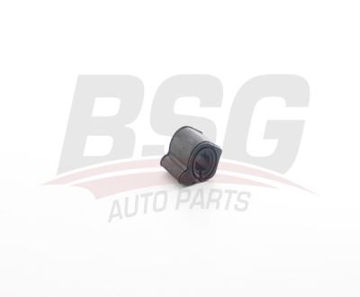 BSG 70-700-124 Vıraj Demır Lastiği  509496 508774 508766 508759 508745