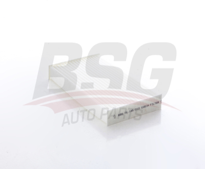 BSG 75-145-010 Polen Filitresi 272778970R