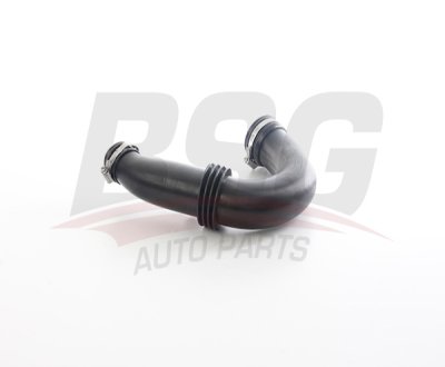 BSG 75-720-026 Hava Fılıtre Hortumu 8200280084