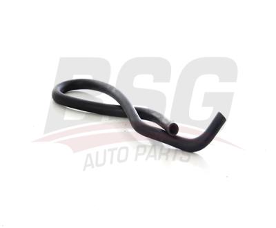BSG 75-720-066 Kalorıfer Hortumu Çıkıs 7700516244