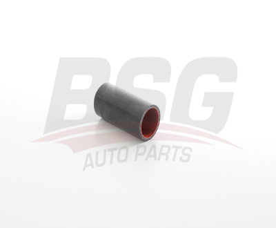 BSG 75-720-163 Turbo Hortumu 144608304R