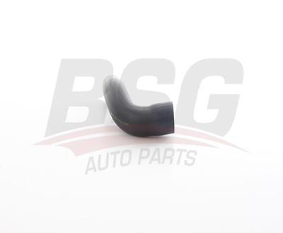 BSG 75-720-231 Turbo Borusu 8200308272