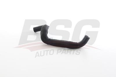 BSG 75-720-267 Kalorıfer Hortumu 924107911R