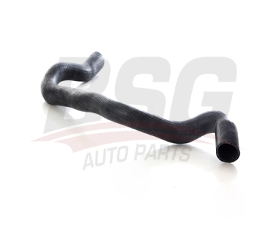 BSG 75-725-029 Turbo Yağlama Borusu 8200714637