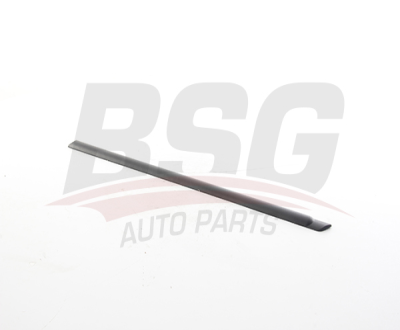 BSG 75-924-011 Kapı Bandı Arka Sol 7702253077