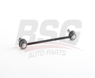 BSG 85-310-034 Vıraj Askı Rotu Ön 48820-33040
