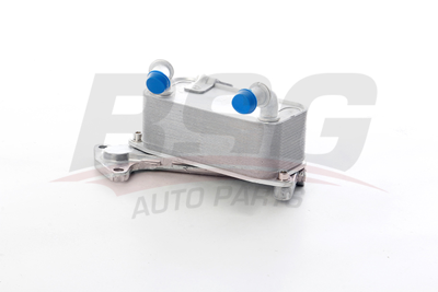 BSG 90-506-019 Sanzuman Yağ Sogutucu 3C0317037A