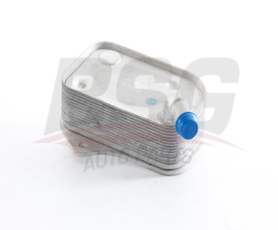 BSG 90-506-021 Yağ Sogutucu 06B117021