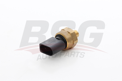 BSG 90-837-021 Basınç Sensörü 03C906051A