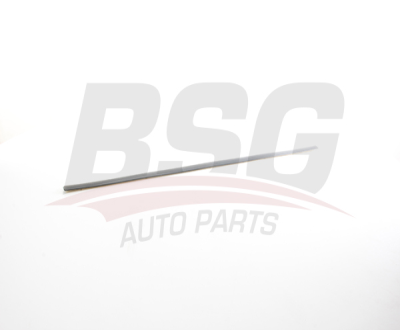 BSG 90-924-053 Kapı Bandı Ön Sol 3B0853515