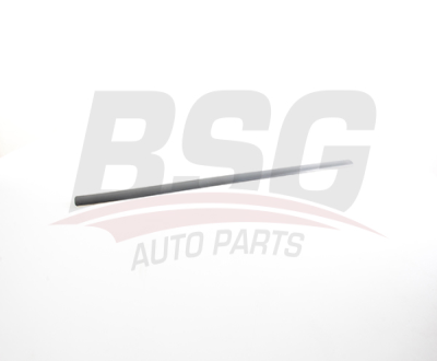 BSG 90-924-055 Kapı Bandı Ön Sağ 3B0853516