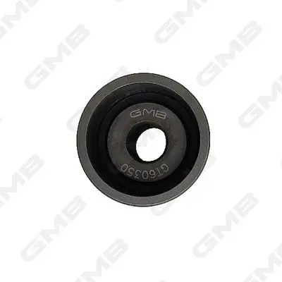 GMB GT60350 Eksantrik Gergi Rulmanı 045109244A