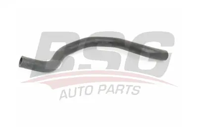 BSG 75-720-035 Kalorıfer Hortumu 924000022R