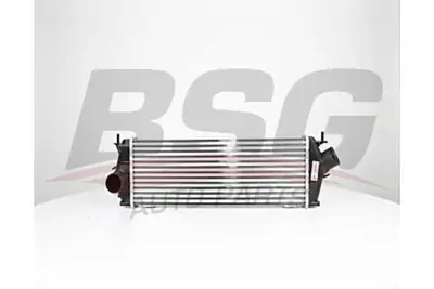 BSG 75-535-009 Turbo Radyatörü 4416946 8200411160 8ML376700141 93854162 96583