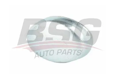 BSG 40-122-002 Blok Su Tapası 1573220001