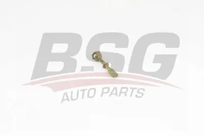 BSG 90-975-011 Kapı Kılıt Levyesı 6N0837223A