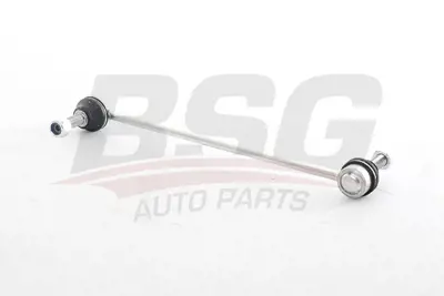 BSG 30-310-159 Vıraj Askı Rotu Ön DG9C3B438ANC