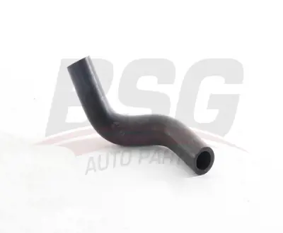 BSG 40-720-061 Yağ Hortumu 3748142251