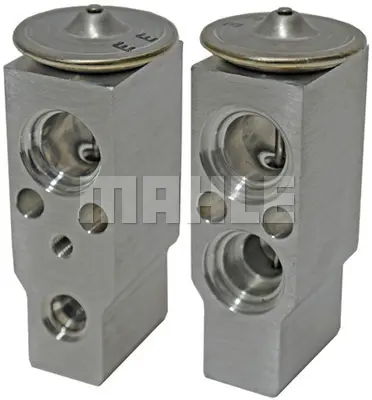 BEHR MAHLE AVE 76 000P Genlesme Valfı 976263E010