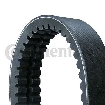 CONTITECH 2/XPB1230 V Kayısı A6139970692