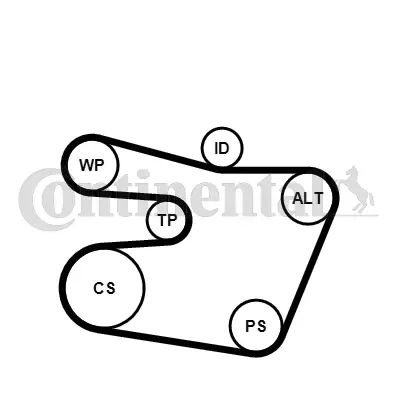 CONTITECH 6PK1538WP1 Tırnaklı Kayıs Seti (Devirdaim-Gergi-Makara Kayıs) Bmw E46 98>04 E39 96>03 E38 95>01 Z3 E36 99>03 