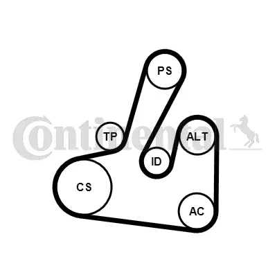 CONTITECH 6PK1705K2 Kanallı V Kayıs Seti 1613844480